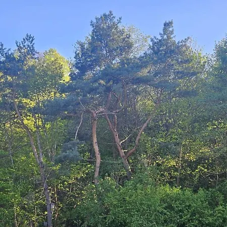 Nubira Wzgorze アパート *