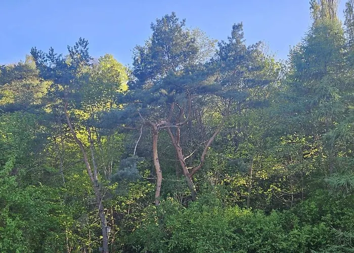 Nubira Wzgorze شقة *